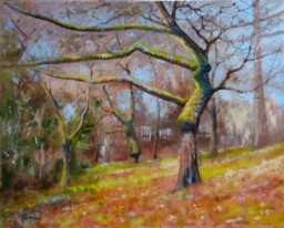 V staré zahradě  40x50